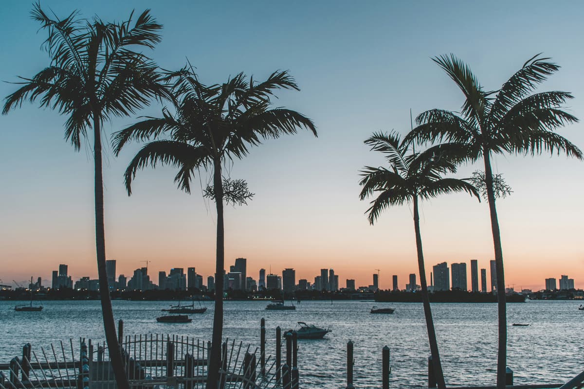 Miami skyline